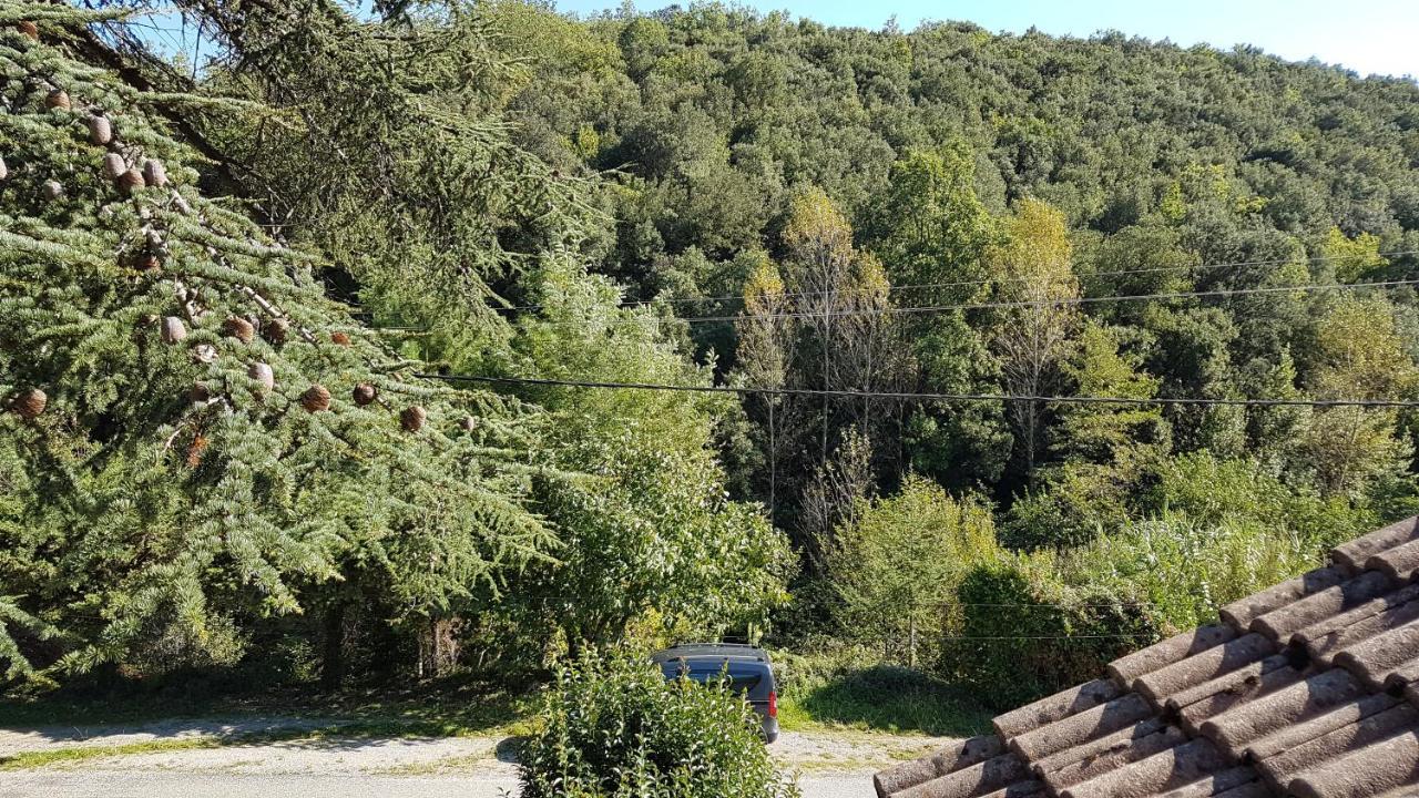 Le Clos Du Cedre Saint Sebastien d'Aigrefeuille Zewnętrze zdjęcie