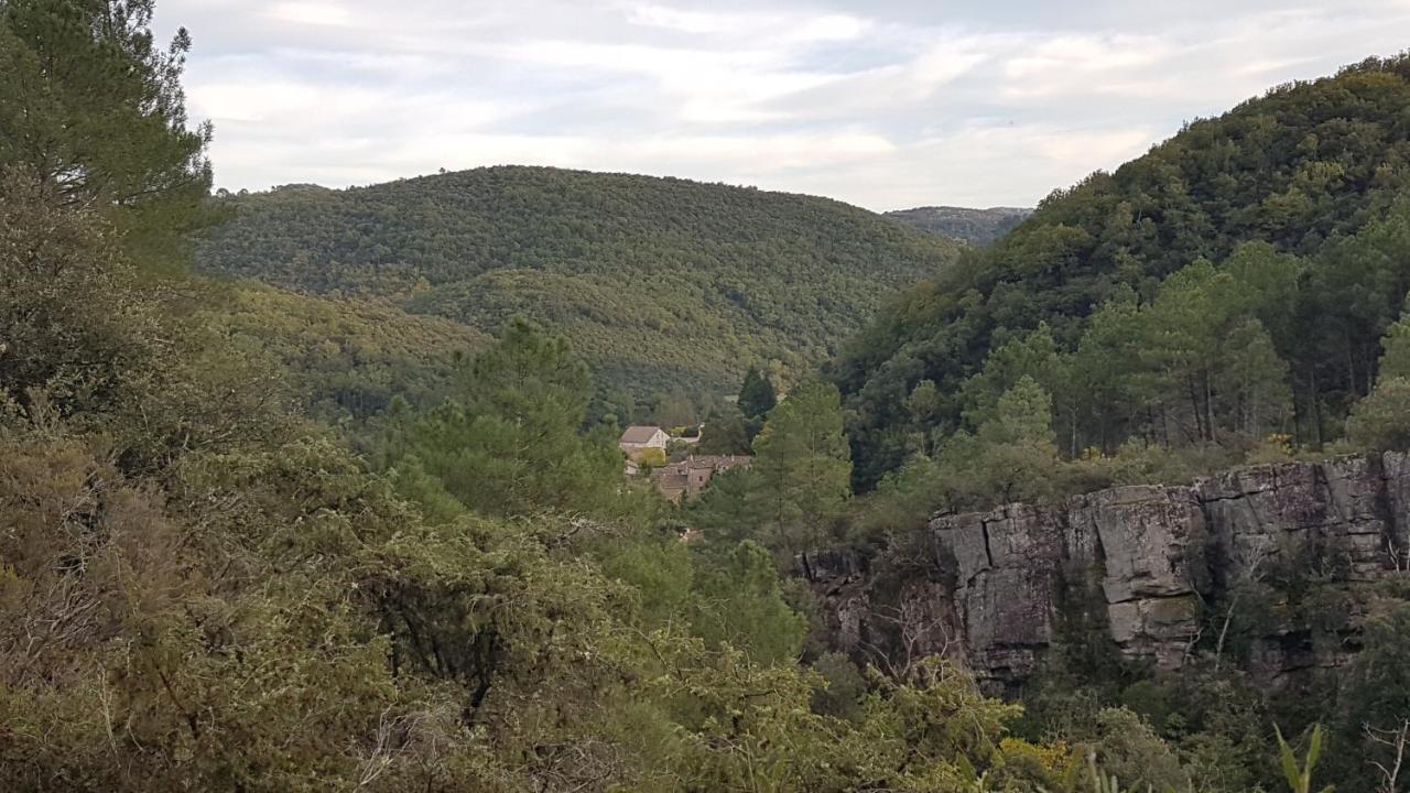 Le Clos Du Cedre Saint Sebastien d'Aigrefeuille Zewnętrze zdjęcie