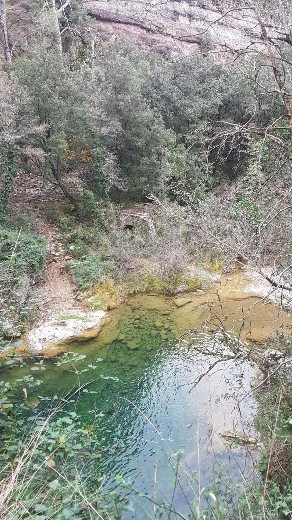 Le Clos Du Cedre Saint Sebastien d'Aigrefeuille Zewnętrze zdjęcie