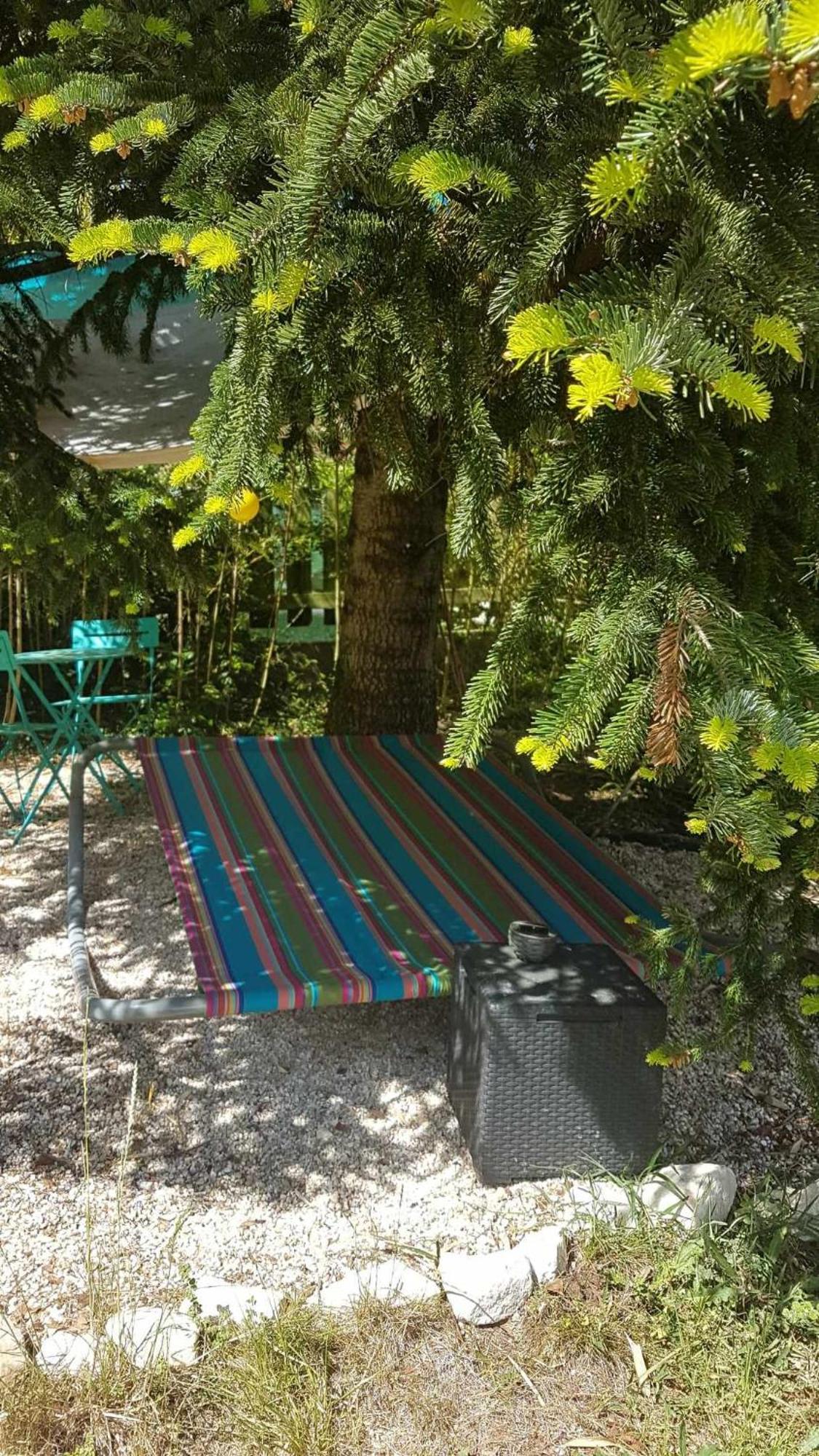 Le Clos Du Cedre Saint Sebastien d'Aigrefeuille Zewnętrze zdjęcie