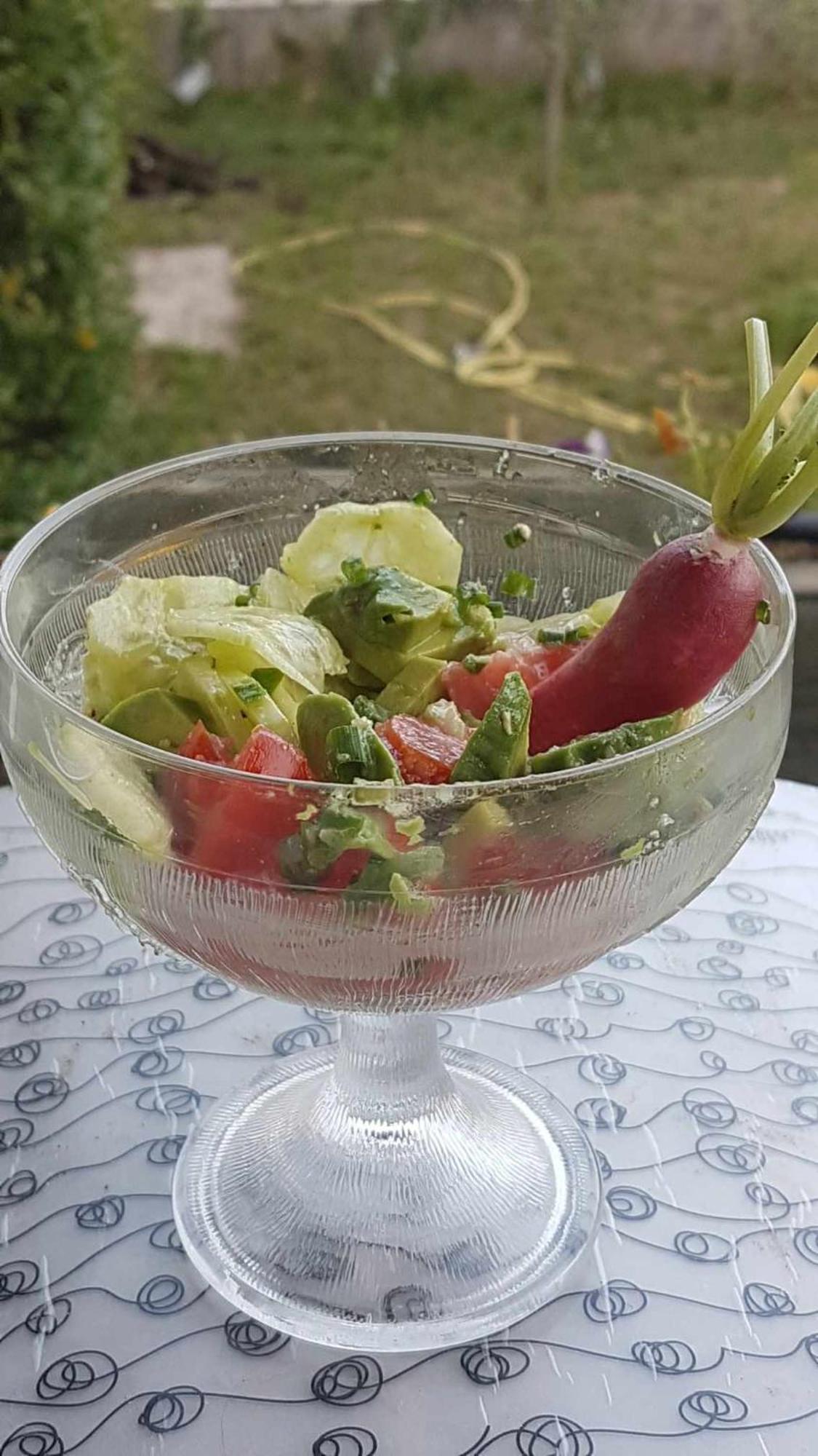 Le Clos Du Cedre Saint Sebastien d'Aigrefeuille Zewnętrze zdjęcie